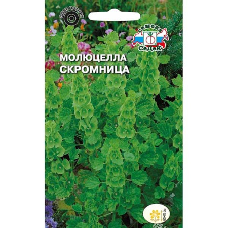 Молюцелла Скромница Седек Ц 