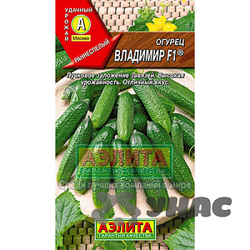 Огурец  Владимир Аэлита Ц