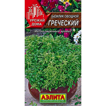 Базилик Греческий Аэлита Ц
