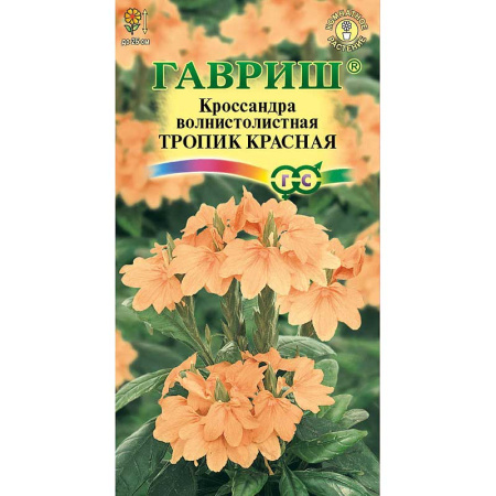 КОМ Кроссандра Тропик красная  (Элитная клумба) Гавриш Ц 