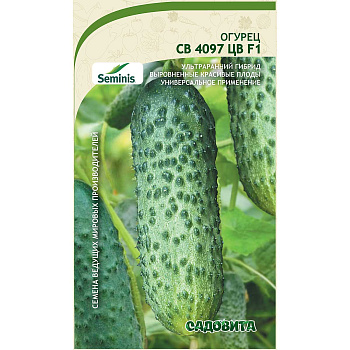 Огурец СВ 4097 ЦВ F1 5шт Seminis/Садовита Ц