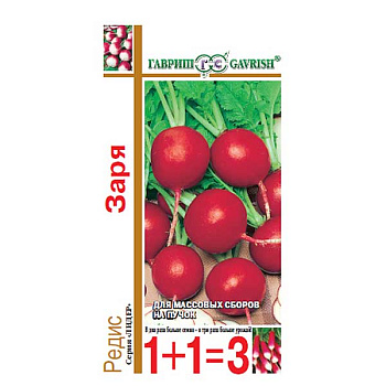 Редис Заря 1+1 Гавриш Ц