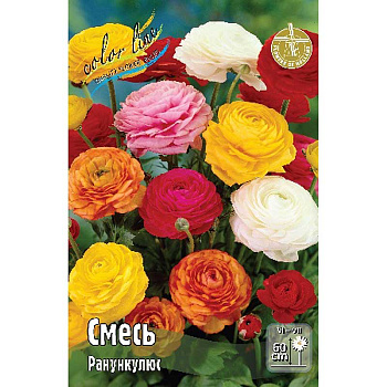 Ранункулюс Смесь 6/7 10 шт