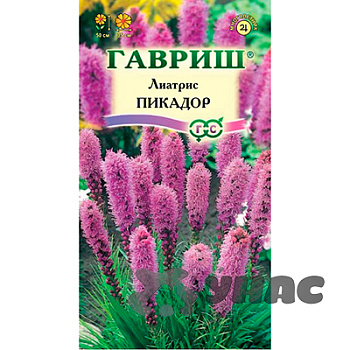Лиатрис Пикадор Гавриш Ц 