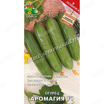 Огурец Аромагия Поиск Ц