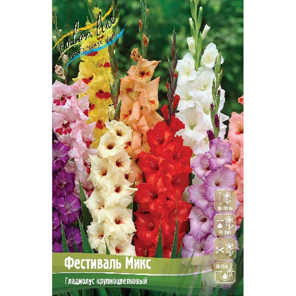 Гладиолус Фестиваль Микс 12/14 6 шт