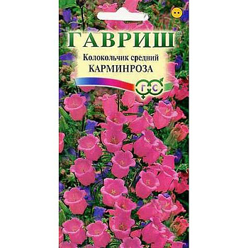 Колокольчик Карминроза средний Гавриш Ц 