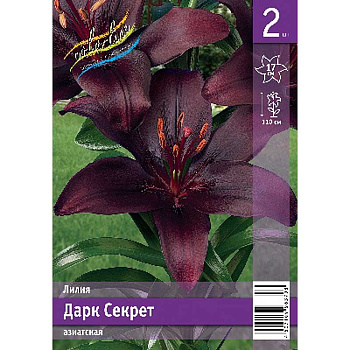 Лилия Дарк Секрет 12/14 2 Эконом шт 