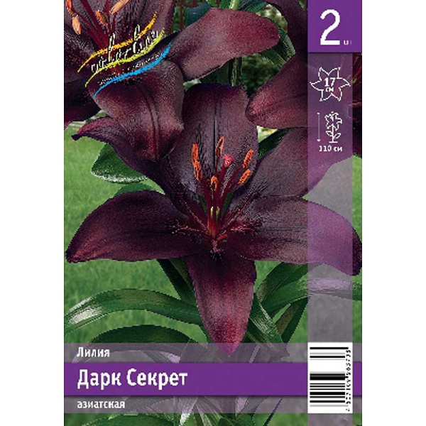 Лилия Дарк Секрет 12/14 2 Эконом шт 