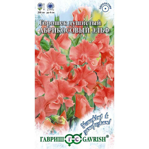 Душистый горошек Абрикосовый эльф Гавриш Ц 