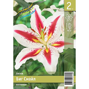 Лилия Биг Смайл 12/14 2 Эконом шт