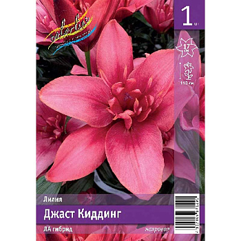 Лилия Джаст Киддинг 12/14 1 Эконом шт 