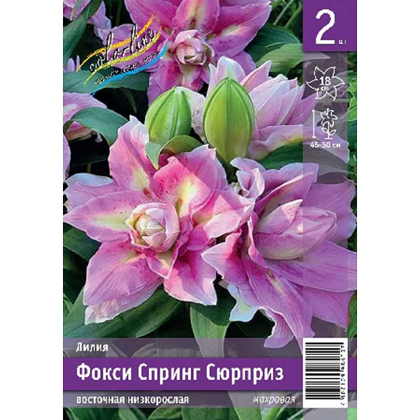 Лилия Фокси Спринг Сюрприз 12/14 2 Эконом шт