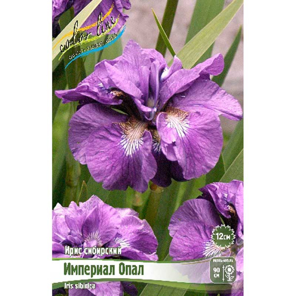 Ирис Сибирский Империал Опал I 1 шт