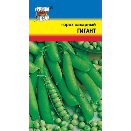 Горох Гигант сахарный Урожай у дачи Ц