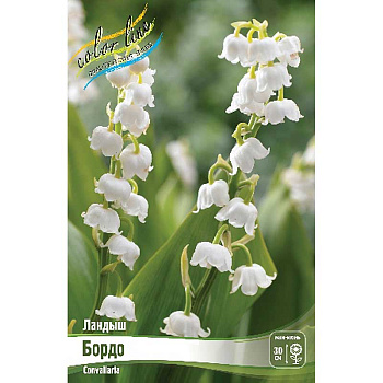 16432 Биг-Пак Ландыш Бордо I 25 шт 
