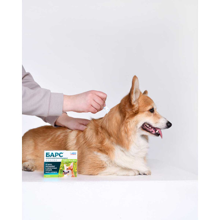 Барс Капли инсектоакарицидные для собак от 10 до 20 кг (1 пипетка - 1,34 мл)