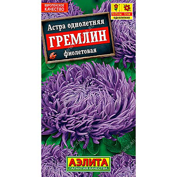 Астра Гремлин Фиолетовая Аэлита Ц 