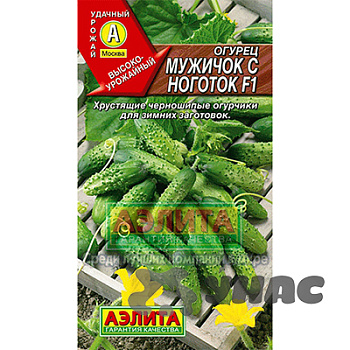 Огурец Мужичок с ноготок Аэлита Ц