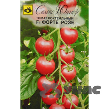 Семена Томат Форте Розе Семко