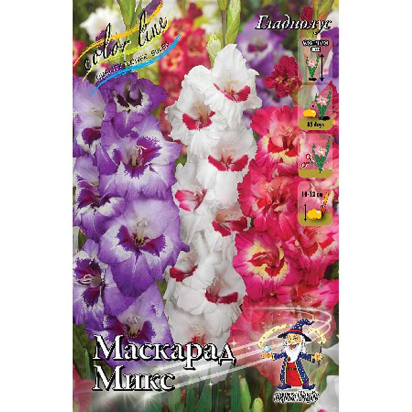 Гладиолус Маскарад Микс 10/12 100 шт Шоу-бокс 14054