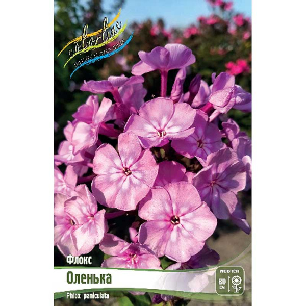 13416 Биг-Пак Флокс Оленька I 25 шт 