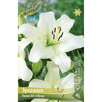 Лилия Эрколано 12/14 25 шт Биг-пак 10244