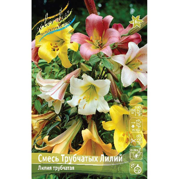 Лилия Смесь Трубчатых Лилий 12/14 25 шт Биг-пак 13768 