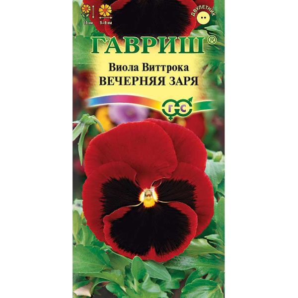 Виола Виттрока Вечерняя заря Гавриш Ц 
