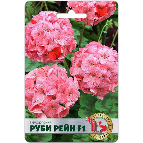 КОМ Пеларгония Руби Рейн Биотехника Ц 