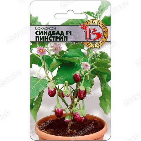 Баклажан Синдбад F1 Пинстрип Биотехника Ц