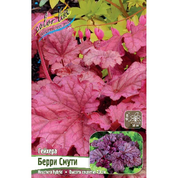 Гейхера Берри Смути I 1 шт