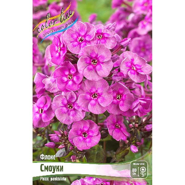 Флокс Смоуки I 2 шт