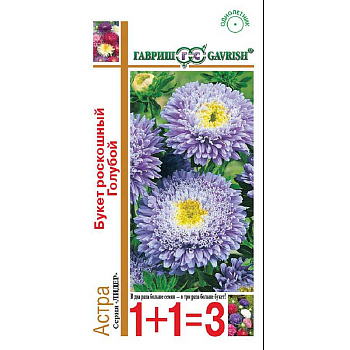 Астра Букет Роскошный голубой 1+1 Гавриш Ц 