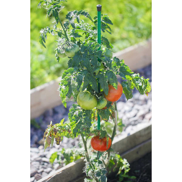 Колышки 0,5м труба 10мм САДОВИТА (комплект 10шт)