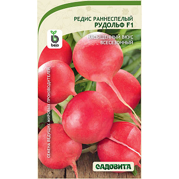 Редис Рудольф F1 1гр Bejo/Садовита Ц