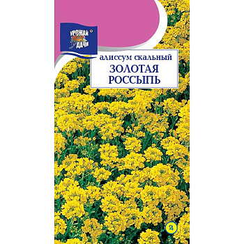 Алиссум Золотая россыпь Урожай у дачи Ц 