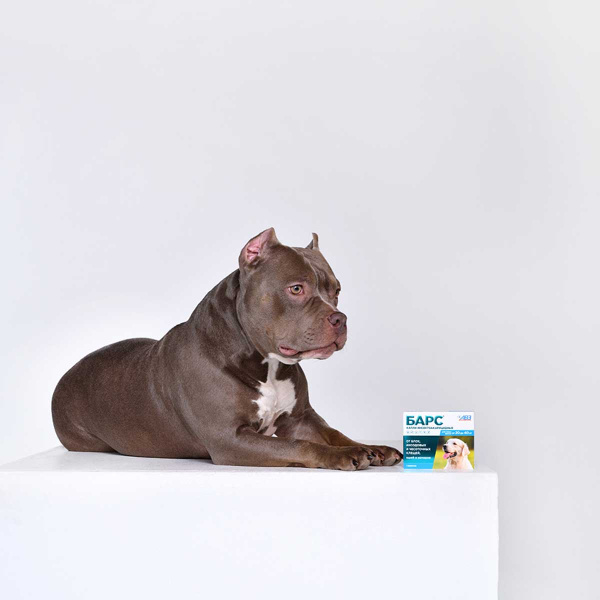 Барс Капли инсектоакарицидные для собак от 20 до 40 кг (1 пипетка - 2,68 мл)