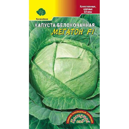 Капуста Мегатон ЦветСад Ц