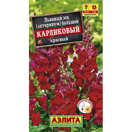 Львиный зев карликовый красный Аэлита Ц 