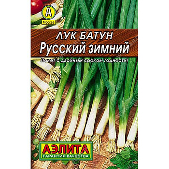 Лук батун Русский зимний Аэлита Ц Лидер х10