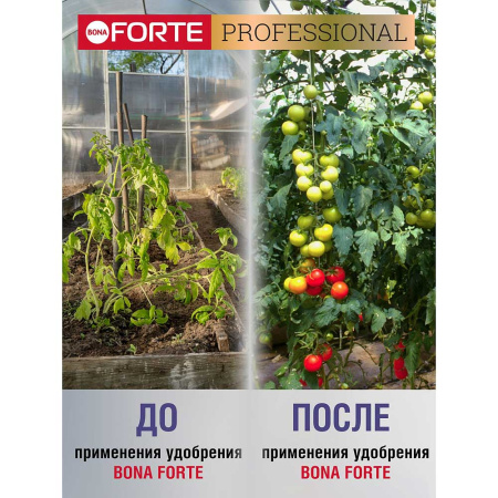 Бона Форте 500 гр для томатов и перцев х12 