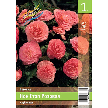 Бегония Нон Стоп Розовая 5/6 1 Эконом шт 
