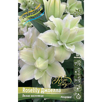 388 Биг-Пак Лилия Roselily Джоелла 16/18 25 шт