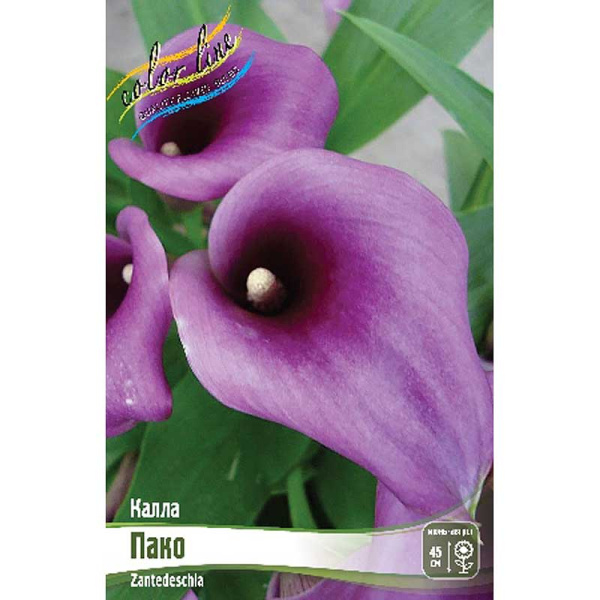 Калла Пако 12/14 30 шт Шоу-бокс 8964 