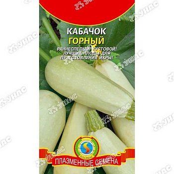 Кабачок Горный Плазма Ц