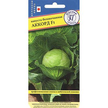 Капуста Аккорд Престиж Ц