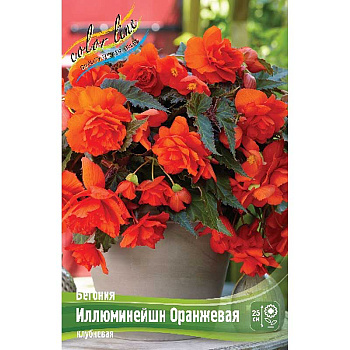 Бегония Иллюминейшн Оранжевая 5/6 50 шт Шоу-бокс 8816