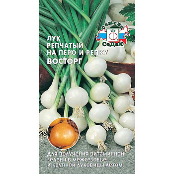 Лук Восторг репч. Седек Ц