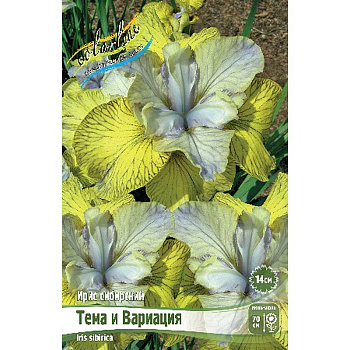 Ирис Сибирский Тема И Вариация I 25 шт Биг-Пак 12820 